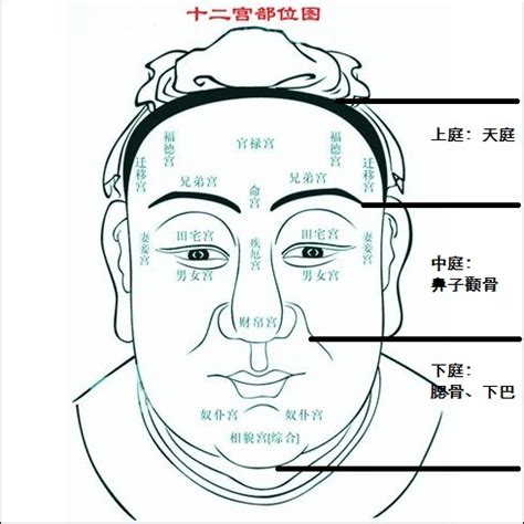 地閣潤意思|地閣方圓掌大權？面相學告訴你這句話的真實意義！